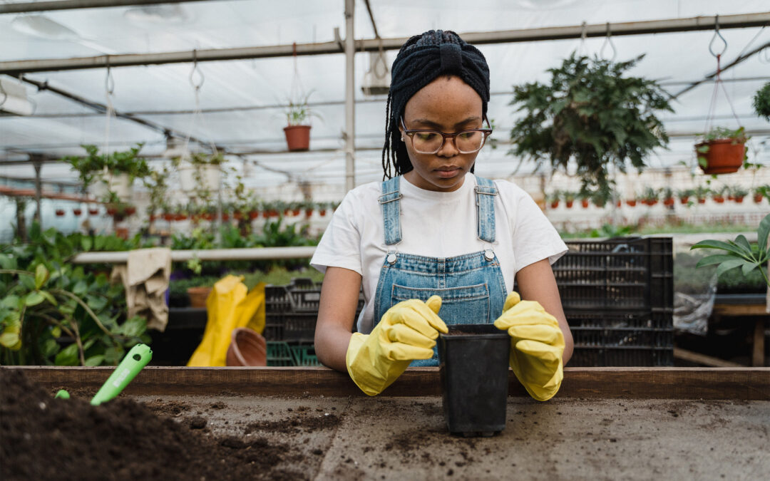 The Therapeutic Benefits of Gardening