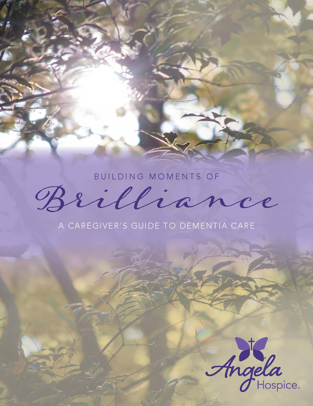 Cover image of Building Moments of Brilliance: A Caregiver's Guide to Dementia Care featuring sun shining through the leaves of a tree