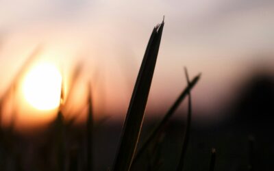 Endings, Beginnings, & Everything in Between