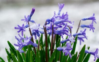 Grief Beneath the Surface